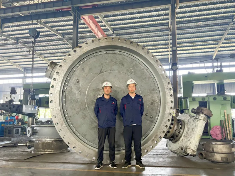 双偏心软密封蝶阀 - 6