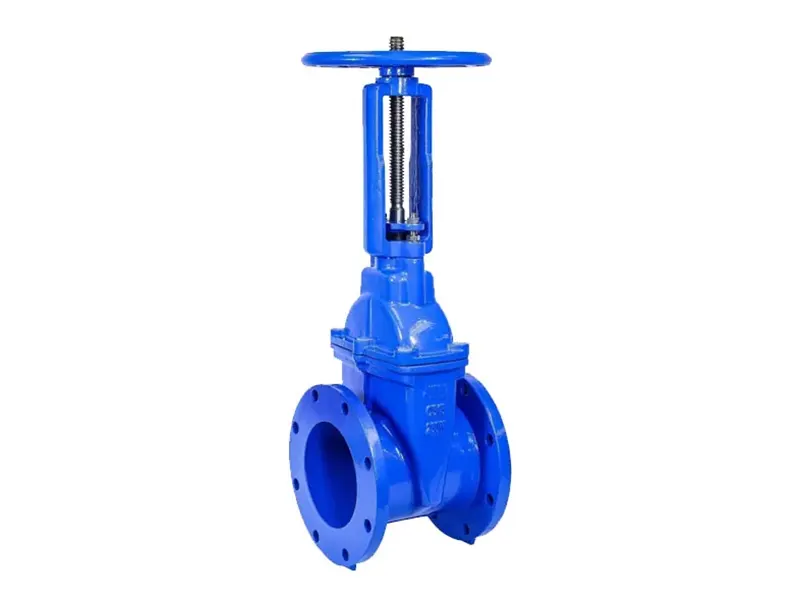 弹性阀座暗杆闸阀 - 2