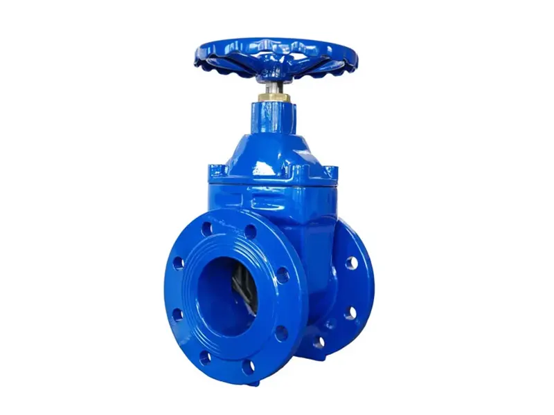 弹性阀座明杆闸阀 - 2