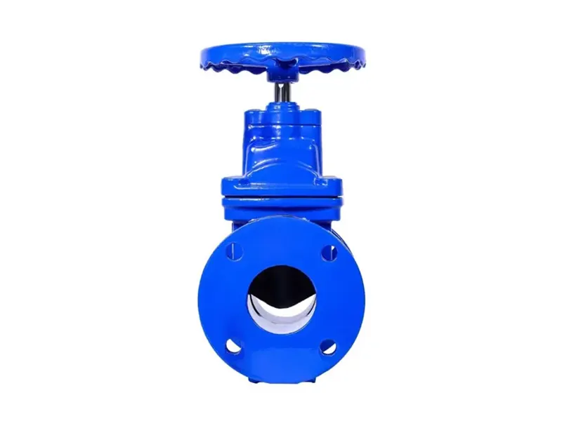 弹性阀座明杆闸阀 - 3