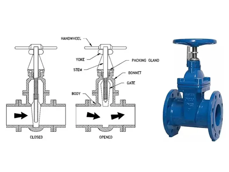 弹性阀座明杆闸阀 - 4