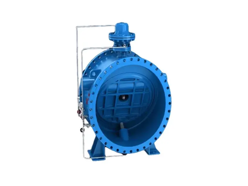 多功能止回阀 - 2