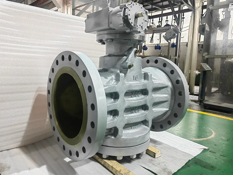 倒装油密封压力平衡式旋塞阀 - 5